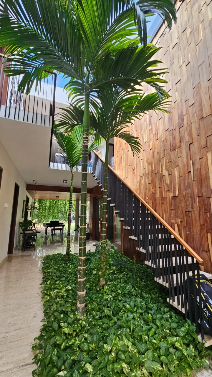Jardín interior con palmeras y muro de madera