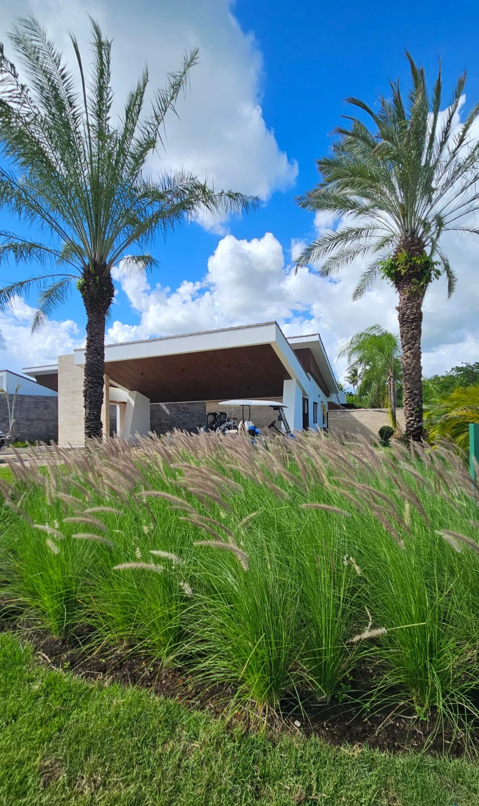 Entrada residencial con palmeras y pastos ornamentales
